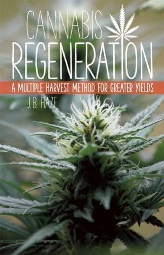 CANNABIS REGENERATION : A MULTIPLE HARVESY METHOD FOR GREATER YIELDS